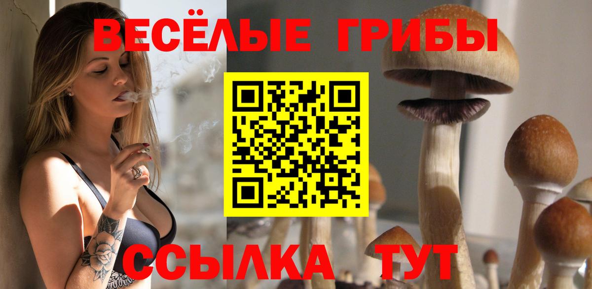 Галлюциногенные грибы Cubensis Мончегорск
