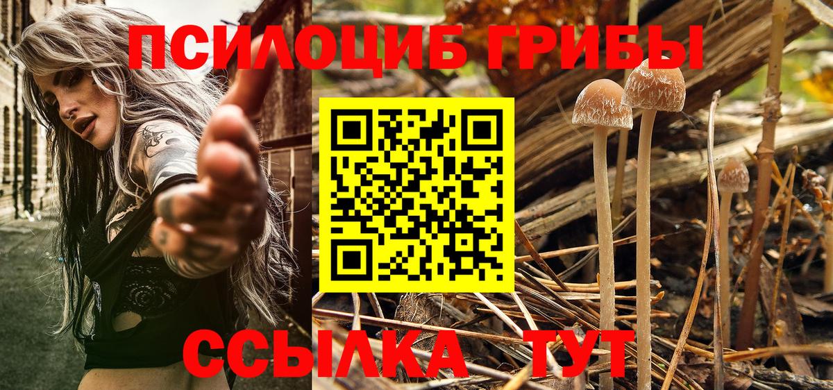 Галлюциногенные грибы прущие грибы  Галлюциногенные грибы прущие грибы  Мончегорск  Вход с VPN 